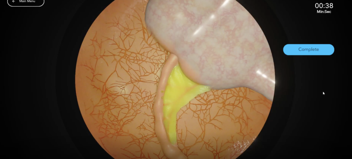 The Appendix