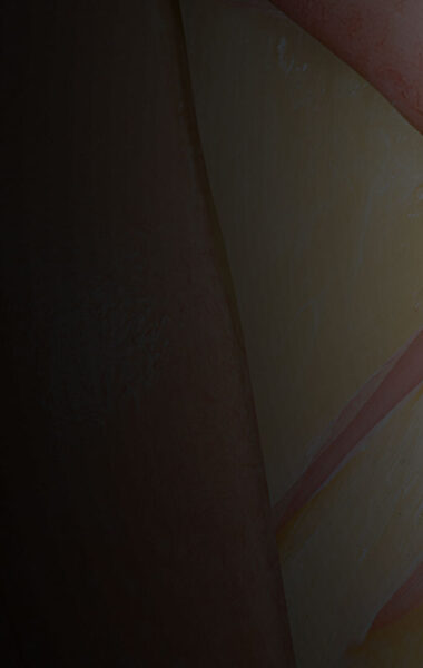 00001754 Banner image Mesocolic dissection closeup